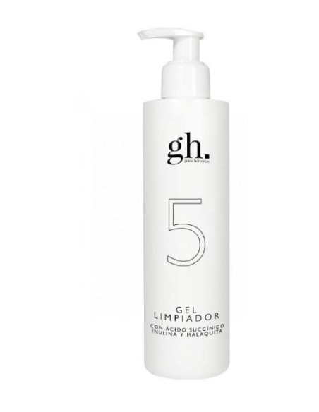 GH 5 GEL LIMPIADOR GH 250 ML
