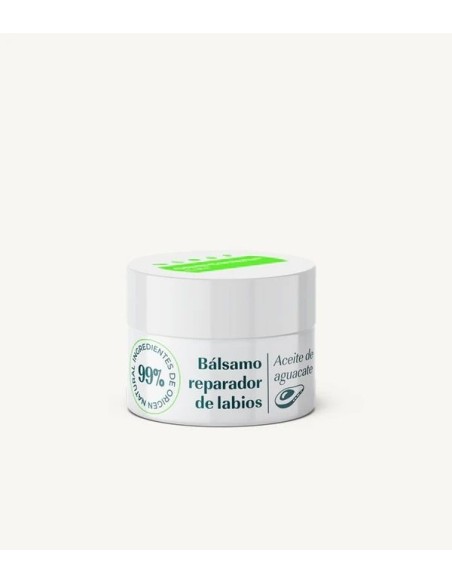 GREEN CORNESS BALSAMO REPARADOR DE LABIOS AGUACATE 1 ENVASE 15 ML