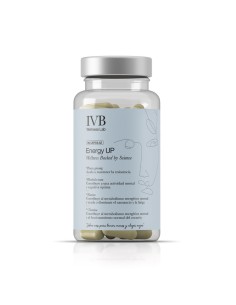 IVB ENERGY UP 60 CAPSULAS